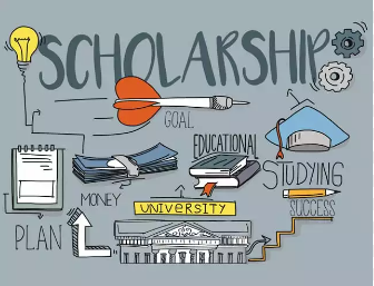 Advantages of organization scholarship