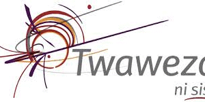 Assistant to the Executive Director Needed at Twaweza July 2025